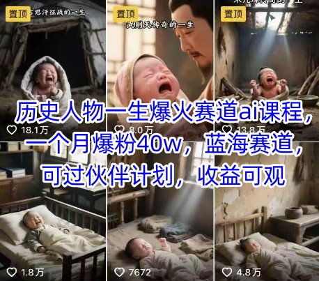 历史人物一生爆火赛道ai课程，一个月爆粉40w，蓝海赛道，可过伙伴计划，收益可观网赚项目-副业赚钱-互联网创业-资源整合南风学院