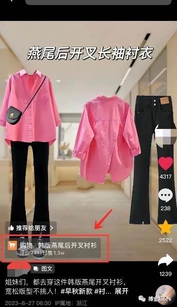 图片[3]-AI图文带货项目：不用出镜，不用拍短视频，不用做直播 就能出单，赚取佣金-讯领网创