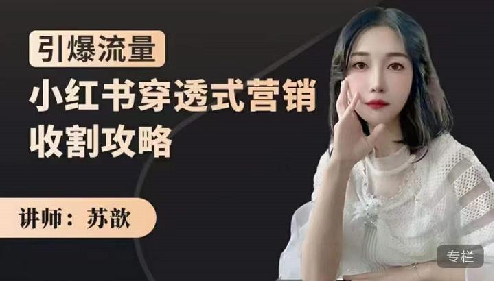 苏歆：小红书穿透式营销收割攻略，引爆流量，助你玩转小红书网赚项目-副业赚钱-互联网创业-资源整合南风学院