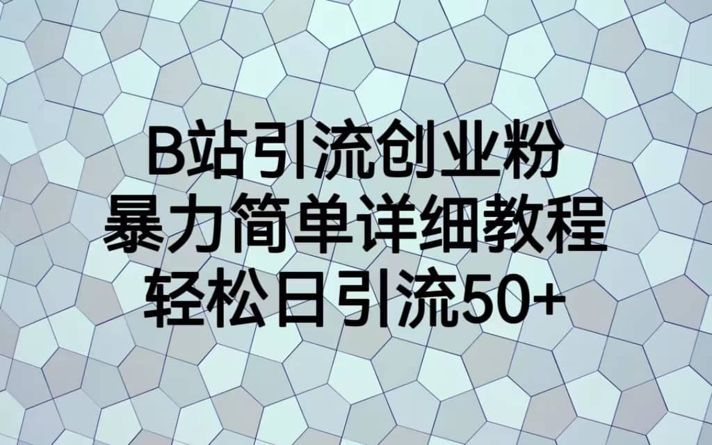 B站引流创业粉，暴力简单详细教程，轻松日引流50+网赚项目-副业赚钱-互联网创业-资源整合南风学院