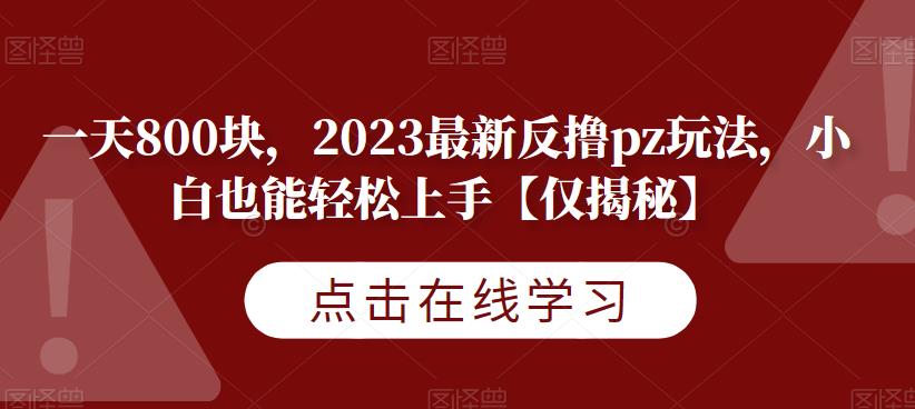 一天800块，2023最新反撸pz玩法，小白也能轻松上手【仅揭秘】网赚项目-副业赚钱-互联网创业-资源整合南风学院