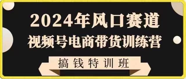 2024年风口赛道视频号电商带货训练营搞钱特训班,带领大家快速入局自媒体电商带货网赚项目-副业赚钱-互联网创业-资源整合南风学院