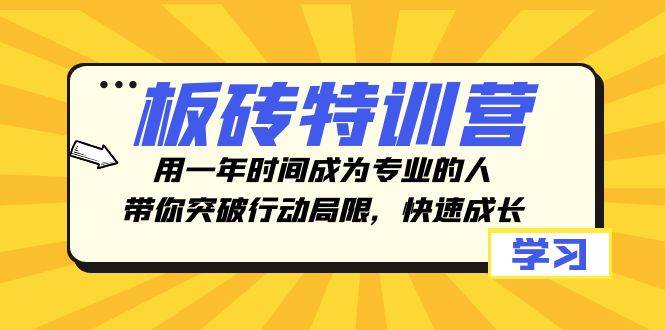 （8048期）板砖特训营，用一年时间成为专业的人，带你突破行动局限，快速成长网赚项目-副业赚钱-互联网创业-资源整合南风学院