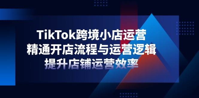 （14369期）TikTok跨境小店运营，精通开店流程与运营逻辑，提升店铺运营效率网赚项目-副业赚钱-互联网创业-资源整合南风学院