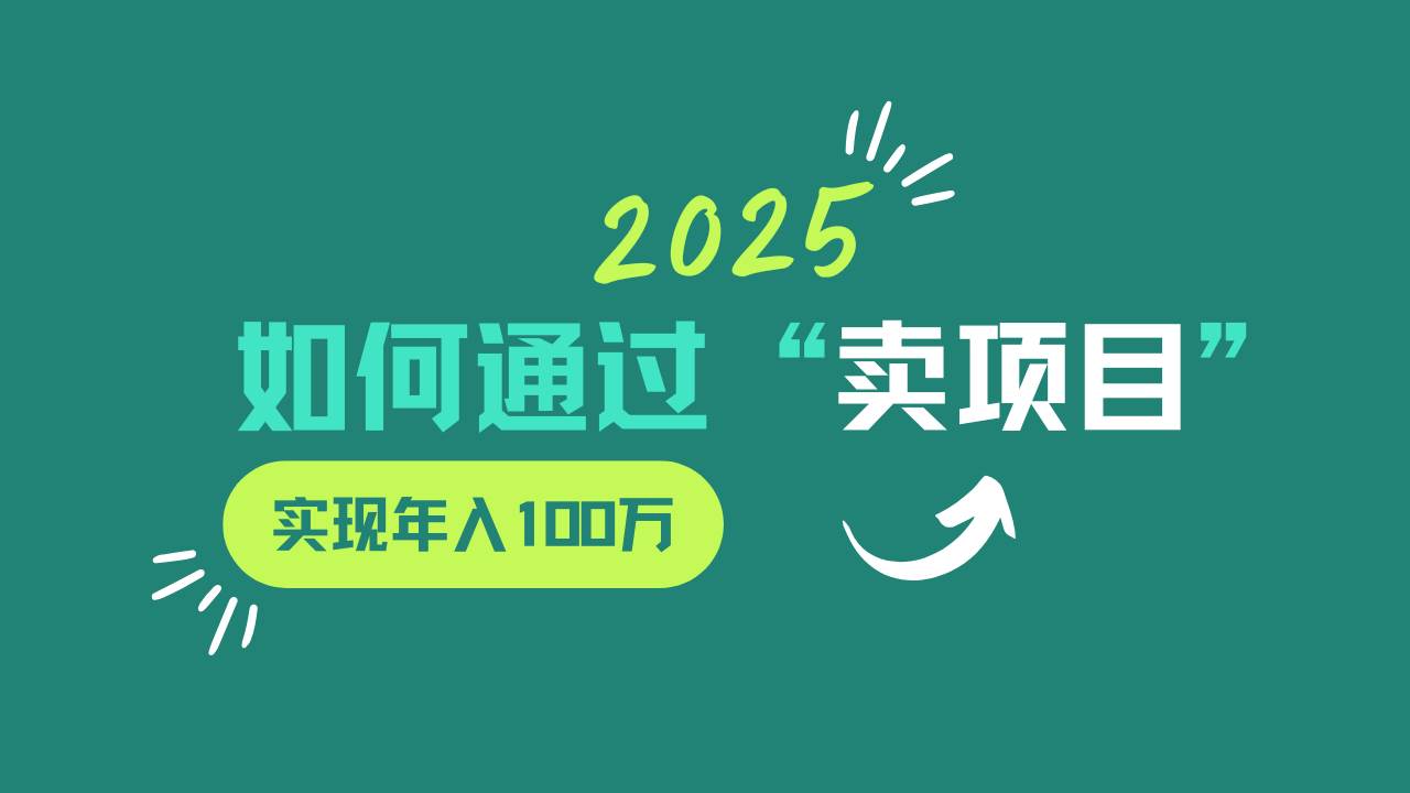 2025年如何通过“卖项目”实现年入100w网赚项目-副业赚钱-互联网创业-资源整合南风学院