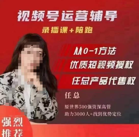 任姐视频号运营，懂老板的任总视频号短视频运营，从0到1做视频号课程网赚项目-副业赚钱-互联网创业-资源整合南风学院