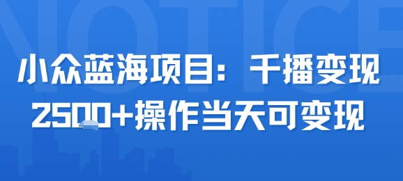 小众蓝海项目，千播变现2.5k+操作当天可变现网赚项目-副业赚钱-互联网创业-资源整合南风学院