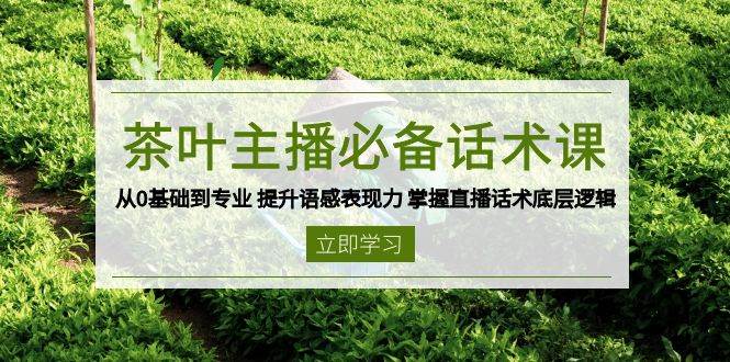 （13961期）茶叶 主播必备话术课 从0基础到专业 提升语感表现力 掌握直播话术底层逻辑网赚项目-副业赚钱-互联网创业-资源整合南风学院