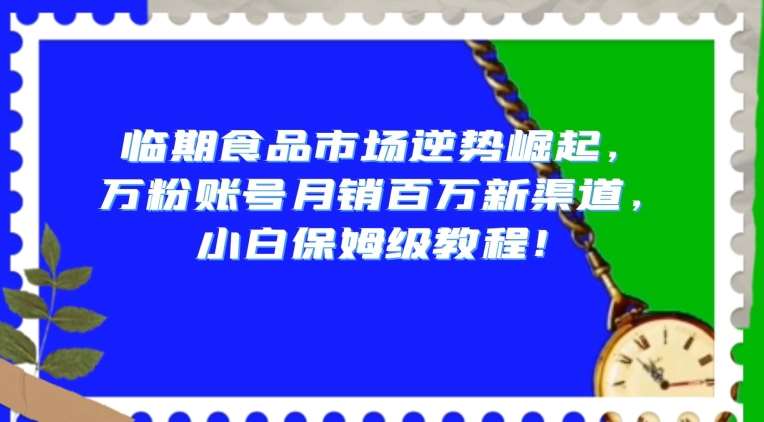 临期食品市场逆势崛起，万粉账号月销百万新渠道，小白保姆级教程【揭秘】网赚项目-副业赚钱-互联网创业-资源整合南风学院