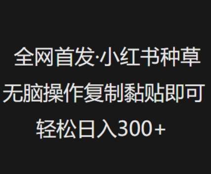 全网首发，小红书种草无脑操作，复制黏贴即可，轻松日入3张网赚项目-副业赚钱-互联网创业-资源整合南风学院