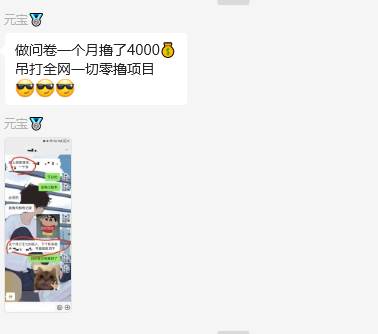 图片[2]-问卷调查兼职项目，随时可做 超低门槛 单号日撸20+-讯领网创