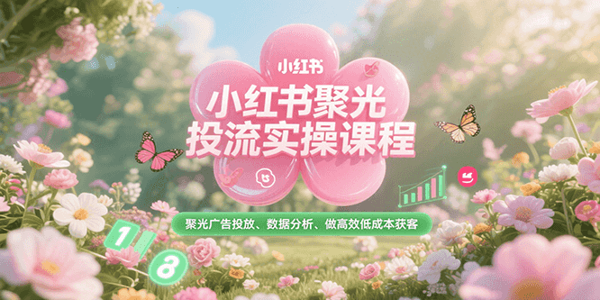 小红书聚光投流实操课程，聚光广告投放、数据分析、做高效低成本获客网赚项目-副业赚钱-互联网创业-资源整合南风学院