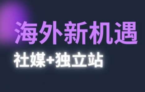 2025出海新机遇(社媒+独立站)，海外新机遇，实现独立站的高效运营与出海网赚项目-副业赚钱-互联网创业-资源整合南风学院