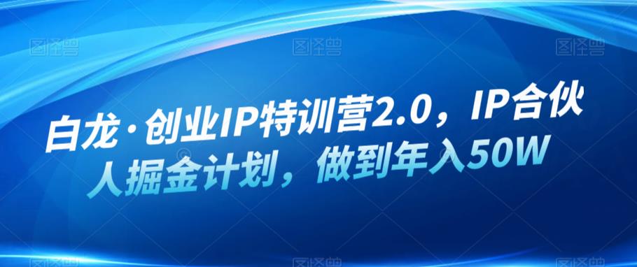 白龙·创业IP特训营2.0，IP合伙人掘金计划，做到年入50W网赚项目-副业赚钱-互联网创业-资源整合南风学院