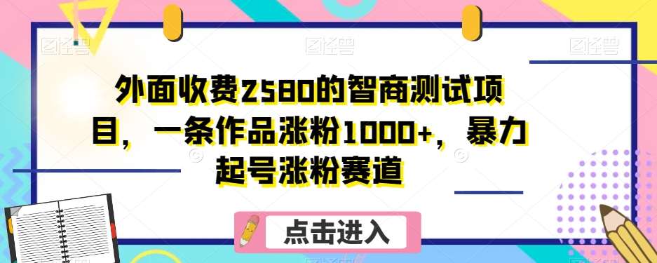 外面收费2580的智商测试项目，一条作品涨粉1000+，暴力起号涨粉赛道【揭秘】网赚项目-副业赚钱-互联网创业-资源整合南风学院