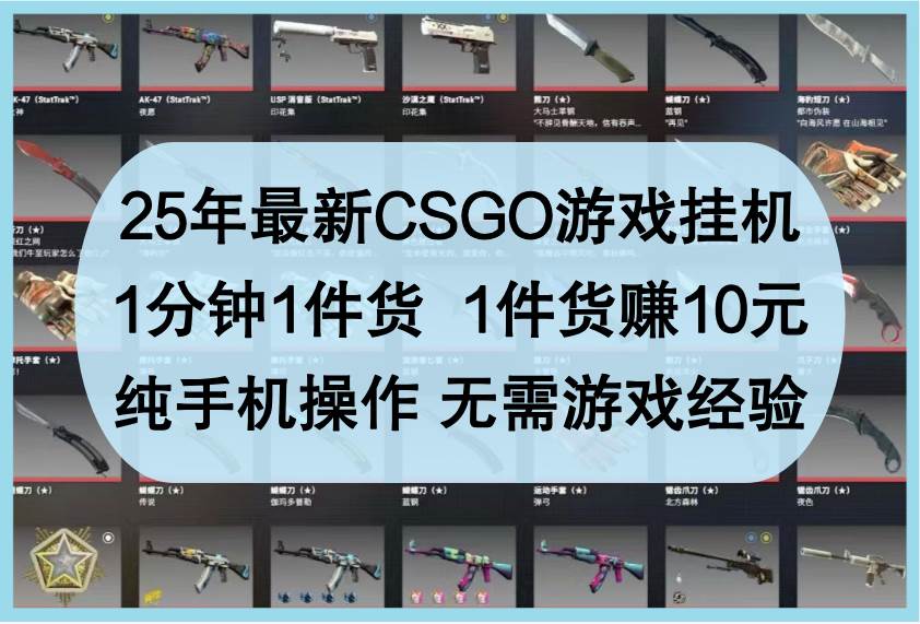 25年最新CSGO游戏挂机,1分钟1件货,1件货赚10元,纯手机操作,无需游戏经验网赚项目-副业赚钱-互联网创业-资源整合南风学院