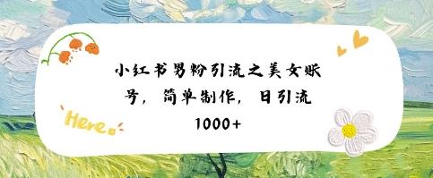 小红书男粉引流项目之美女账号6，简单制作，条条爆款原创，不违规网赚项目-副业赚钱-互联网创业-资源整合南风学院