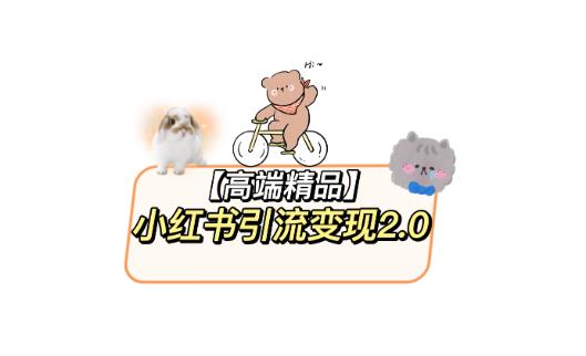 小红书最新引流变现教程，全网最新最详细的视频教程以及素材网赚项目-副业赚钱-互联网创业-资源整合南风学院