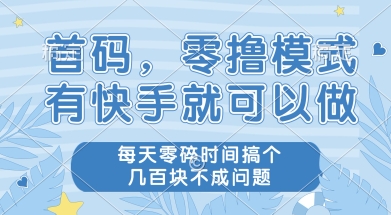 首码零撸项目，有快手就可以做，每天业务时间搞个几张不是问题【揭秘】网赚项目-副业赚钱-互联网创业-资源整合南风学院