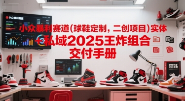 小众暴利赛道(球鞋定制，二创项目)实体+私域2025王炸组合 交付手册网赚项目-副业赚钱-互联网创业-资源整合南风学院