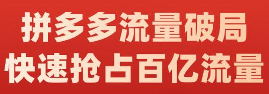 阿杰·拼多多流量破局:如何打黑标，爆款的思路，拼多多流量框架，快速抢占百亿流量网赚项目-副业赚钱-互联网创业-资源整合南风学院