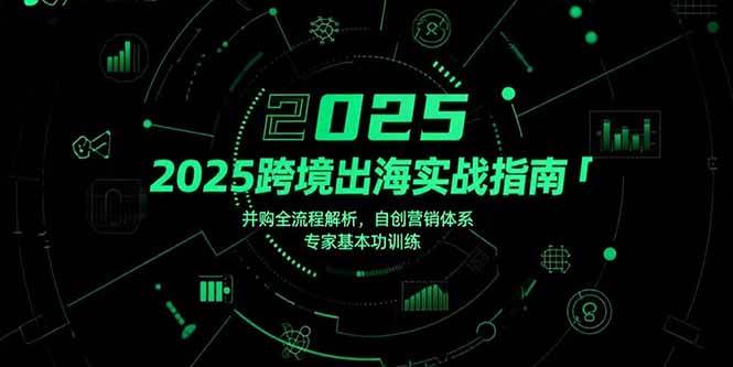 （15503期）2025跨境出海实战指南，并购全流程解析，自创营销体系，专家基本功训练网赚项目-副业赚钱-互联网创业-资源整合南风学院