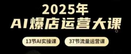 2025年AI爆店运营大课，13节AI实操课+37节流量运营课网赚项目-副业赚钱-互联网创业-资源整合南风学院
