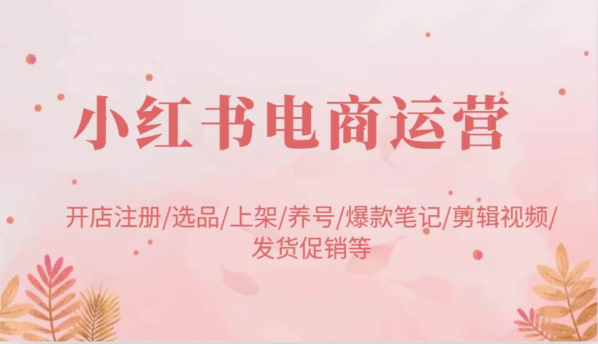 小红书电商运营：开店注册/选品/上架/养号/爆款笔记/剪辑视频/发货促销等网赚项目-副业赚钱-互联网创业-资源整合南风学院