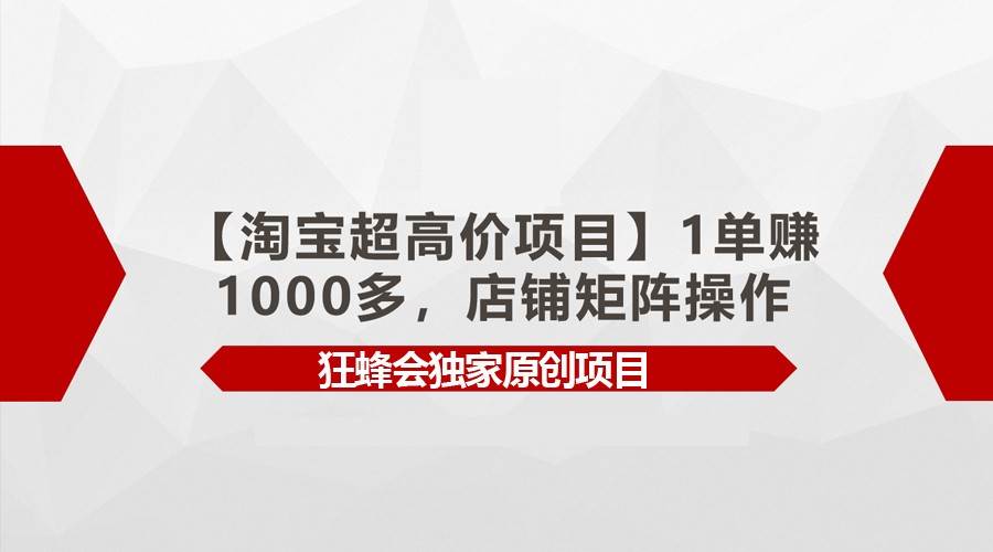 【淘宝超高价项目】1单赚1000多，店铺矩阵操作网赚项目-副业赚钱-互联网创业-资源整合南风学院