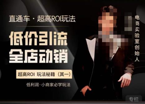 电商冰可乐·直通车·《低价引流·全店动销》，直通车·超高ROI玩法（其一）全店动销必学玩法网赚项目-副业赚钱-互联网创业-资源整合南风学院