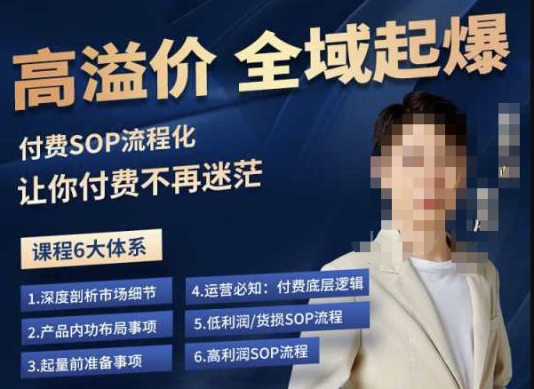 逸风-拼多多高溢价全域起爆，6大课程体系，付费玩法全套实操网赚项目-副业赚钱-互联网创业-资源整合南风学院