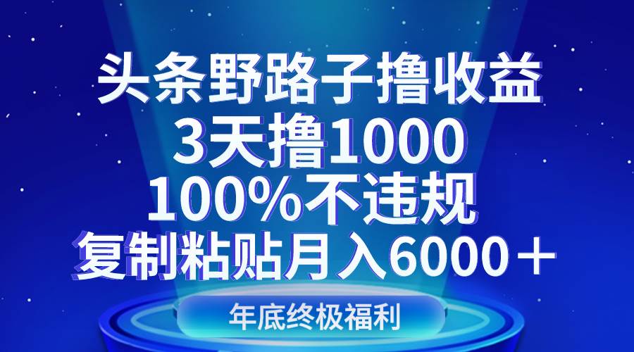 头条野路子撸收益,3天撸1000,100%不违规,复制粘贴月入6000+网赚项目-副业赚钱-互联网创业-资源整合南风学院