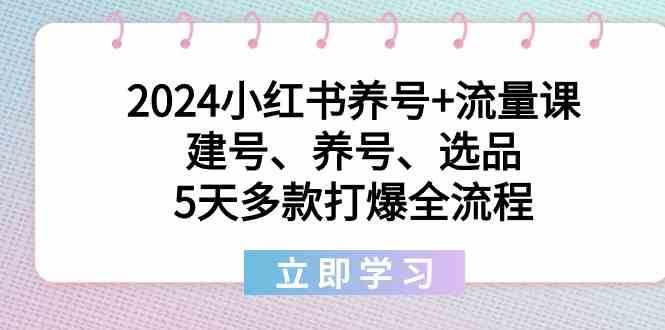 2024小红书养号+流量课：建号、养号、选品，5天多款打爆全流程网赚项目-副业赚钱-互联网创业-资源整合南风学院