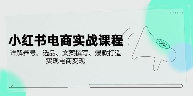 （14549期）小红书电商实战课程，详解养号、选品、文案撰写、爆款打造，实现电商变现网赚项目-副业赚钱-互联网创业-资源整合南风学院