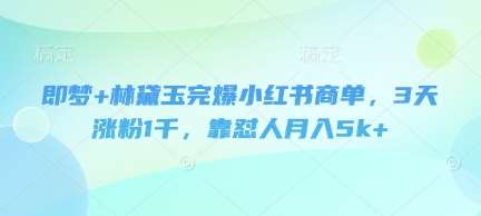 即梦+林黛玉完爆小红书商单，3天涨粉1千，靠怼人月入5k+网赚项目-副业赚钱-互联网创业-资源整合南风学院