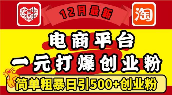 12月最新：电商平台1元打爆创业粉，简单粗暴日引500+精准创业粉，轻松月入过W【揭秘】网赚项目-副业赚钱-互联网创业-资源整合南风学院