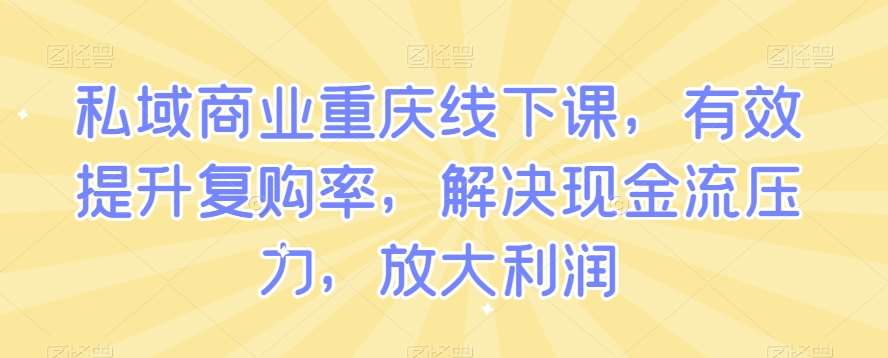私域商业重庆线下课，有效提升复购率，解决现金流压力，放大利润网赚项目-副业赚钱-互联网创业-资源整合南风学院
