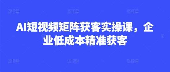 AI短视频矩阵获客实操课，企业低成本精准获客网赚项目-副业赚钱-互联网创业-资源整合南风学院