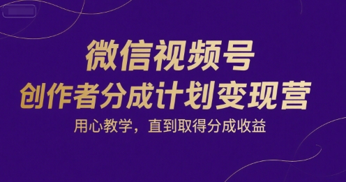 微信视频号创作者分成计划变现营，用心教学，直到取得分成收益网赚项目-副业赚钱-互联网创业-资源整合南风学院
