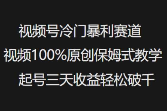 视频号冷门暴利赛道视频100%原创保姆式教学起号三天收益轻松破千网赚项目-副业赚钱-互联网创业-资源整合南风学院