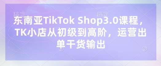 东南亚TikTok Shop3.0课程，TK小店​从初级到高阶，运营出单干货输出网赚项目-副业赚钱-互联网创业-资源整合南风学院