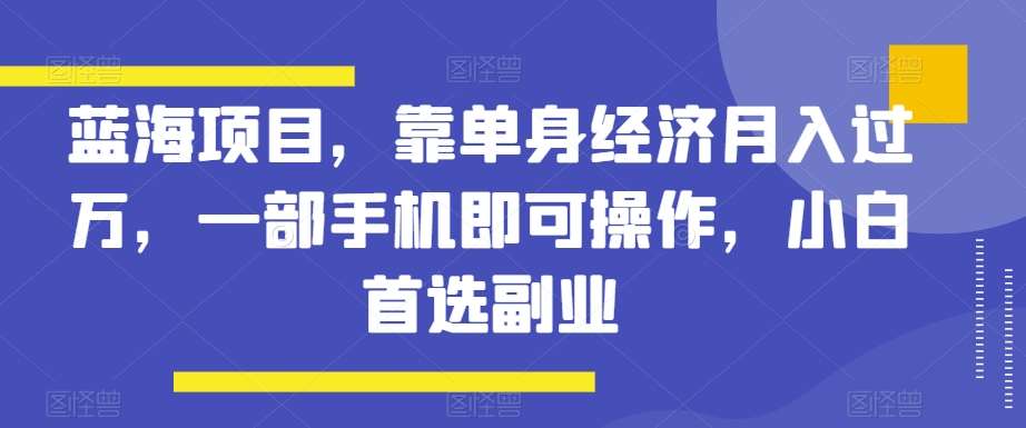 蓝海项目，靠单身经济月入过万，一部手机即可操作，小白首选副业【揭秘】网赚项目-副业赚钱-互联网创业-资源整合南风学院