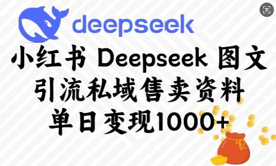 小红书Deepseek图文引流私域售卖资料，单日变现多张网赚项目-副业赚钱-互联网创业-资源整合南风学院