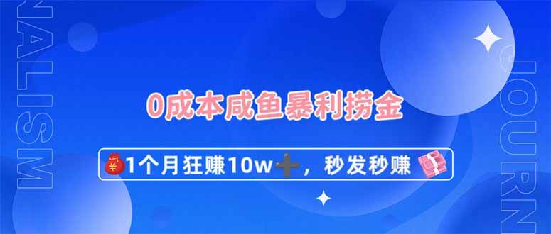 （14257期）0成本闲鱼暴利捞金，1个月狂赚10W+，秒发秒赚新玩法网赚项目-副业赚钱-互联网创业-资源整合南风学院