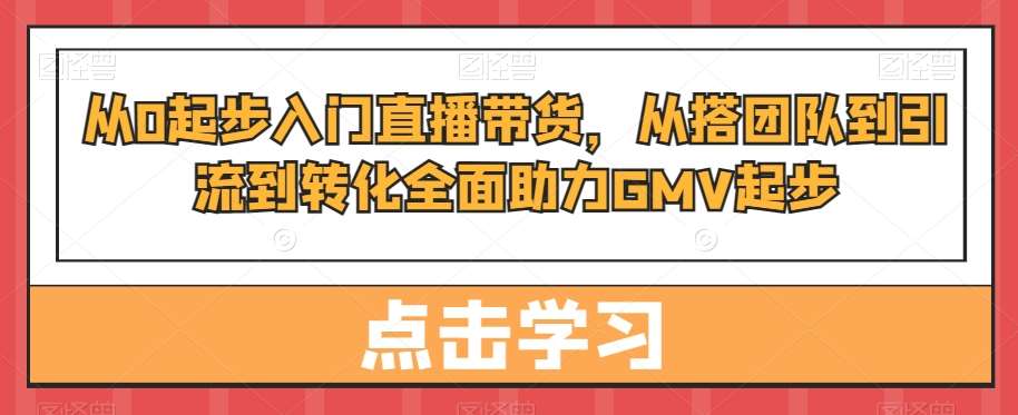 从0起步入门直播带货，​从搭团队到引流到转化全面助力GMV起步网赚项目-副业赚钱-互联网创业-资源整合南风学院