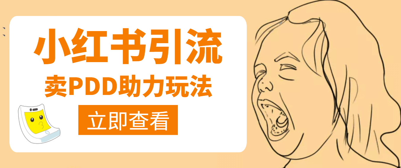 利用小红书卖拼多多助力网赚项目-副业赚钱-互联网创业-资源整合南风学院