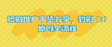 短剧推广干货分享，豹剧 1:1原创全流程网赚项目-副业赚钱-互联网创业-资源整合南风学院