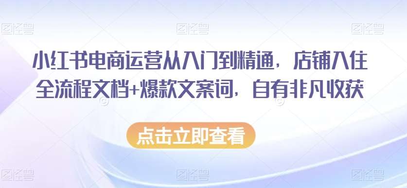 小红书电商运营从入门到精通，店铺入住全流程文档+爆款文案词，自有非凡收获网赚项目-副业赚钱-互联网创业-资源整合南风学院