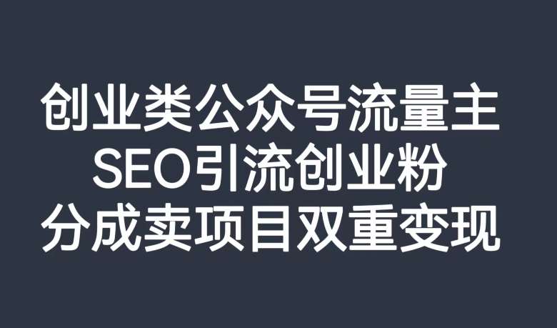 创业类公众号流量主，SEO引流创业粉，分成卖项目双重变现【揭秘】网赚项目-副业赚钱-互联网创业-资源整合南风学院