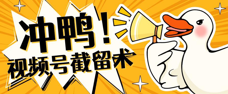 全球首发-视频号无限截留术-你不知道的流量沃土网赚项目-副业赚钱-互联网创业-资源整合南风学院